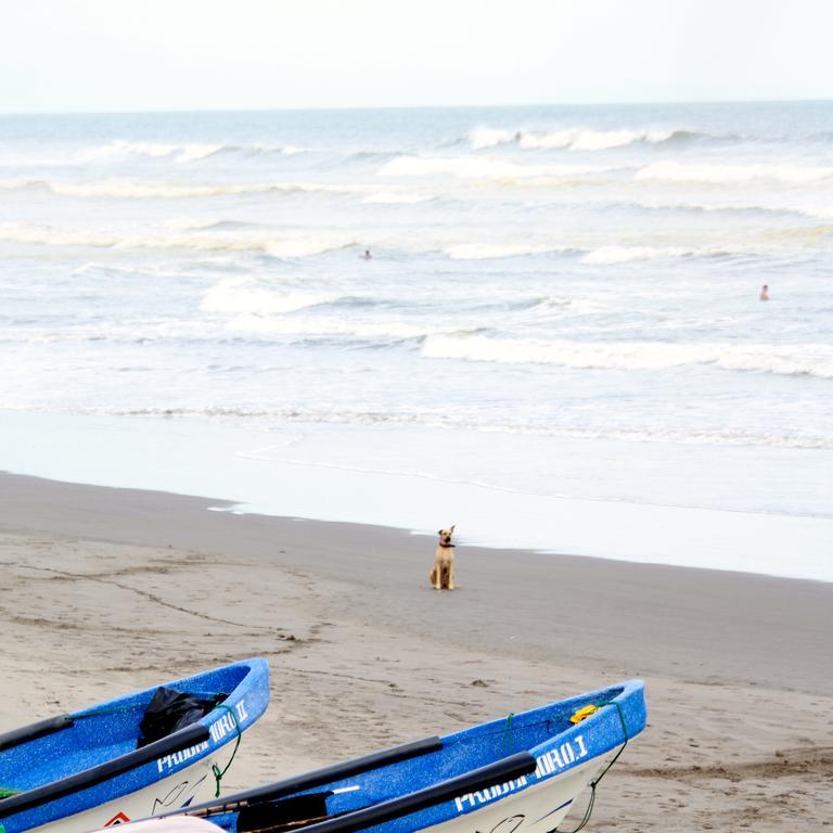 Azul Surf Club Hotel El Cuco Exterior photo